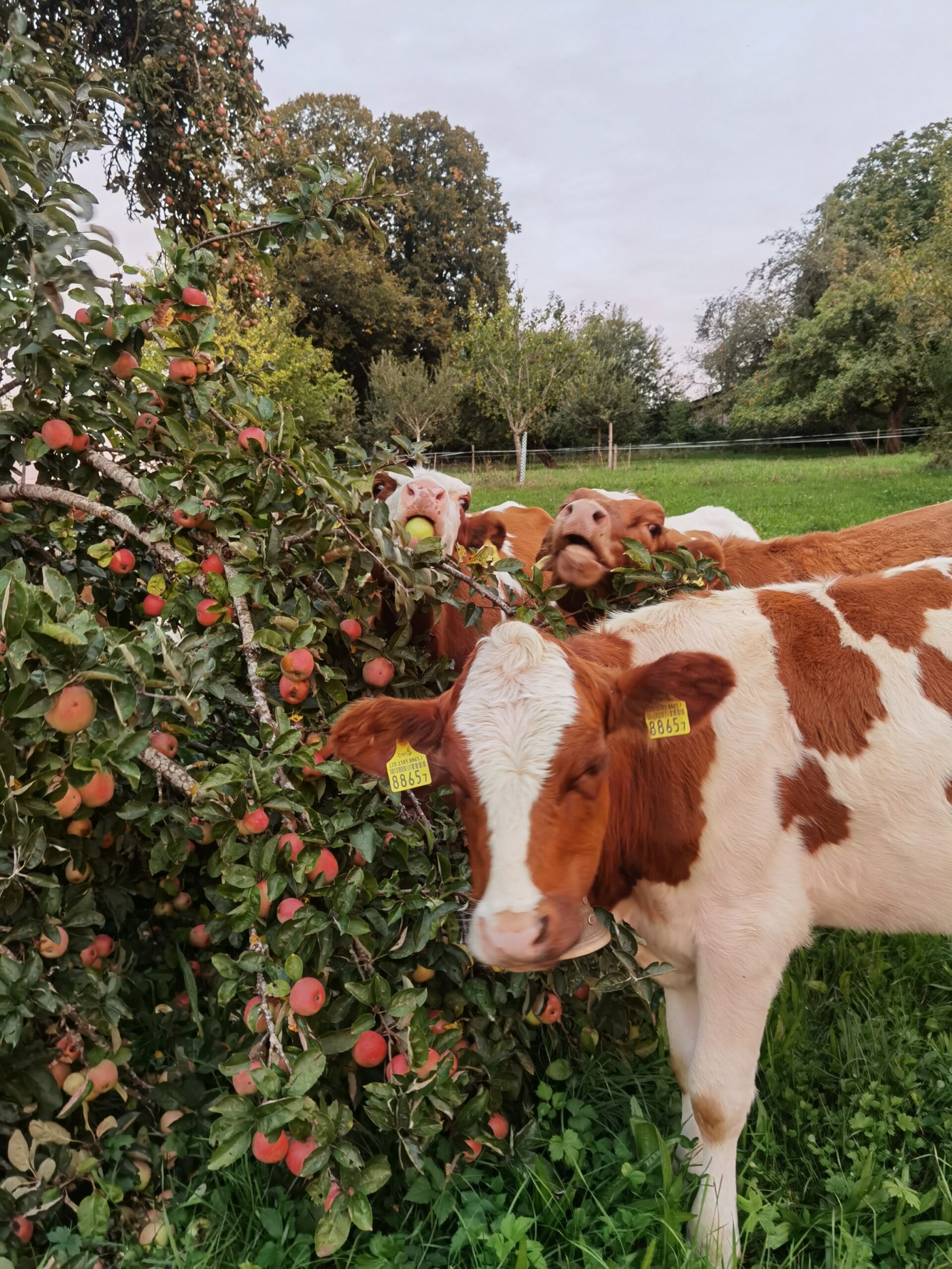 IMG_20220918_193234_resized_20230226_040540776