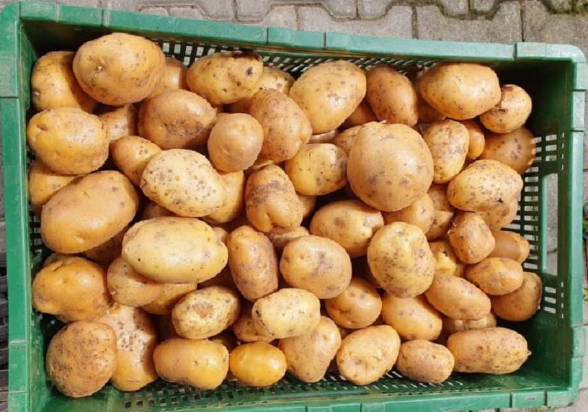 Demeter Kartoffeln