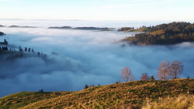 Rinderalp Nebelmeer