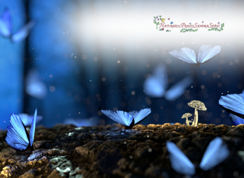 Spaeni_Butterfly