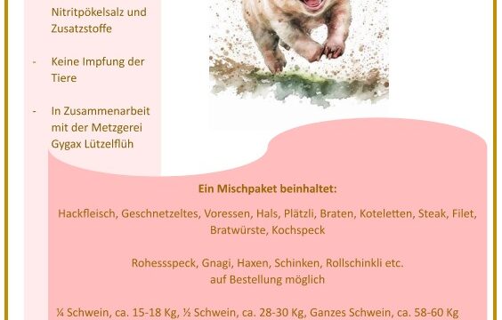 WhatsApp-Bild-2025-08-21-um-194011_17b0c3f4
