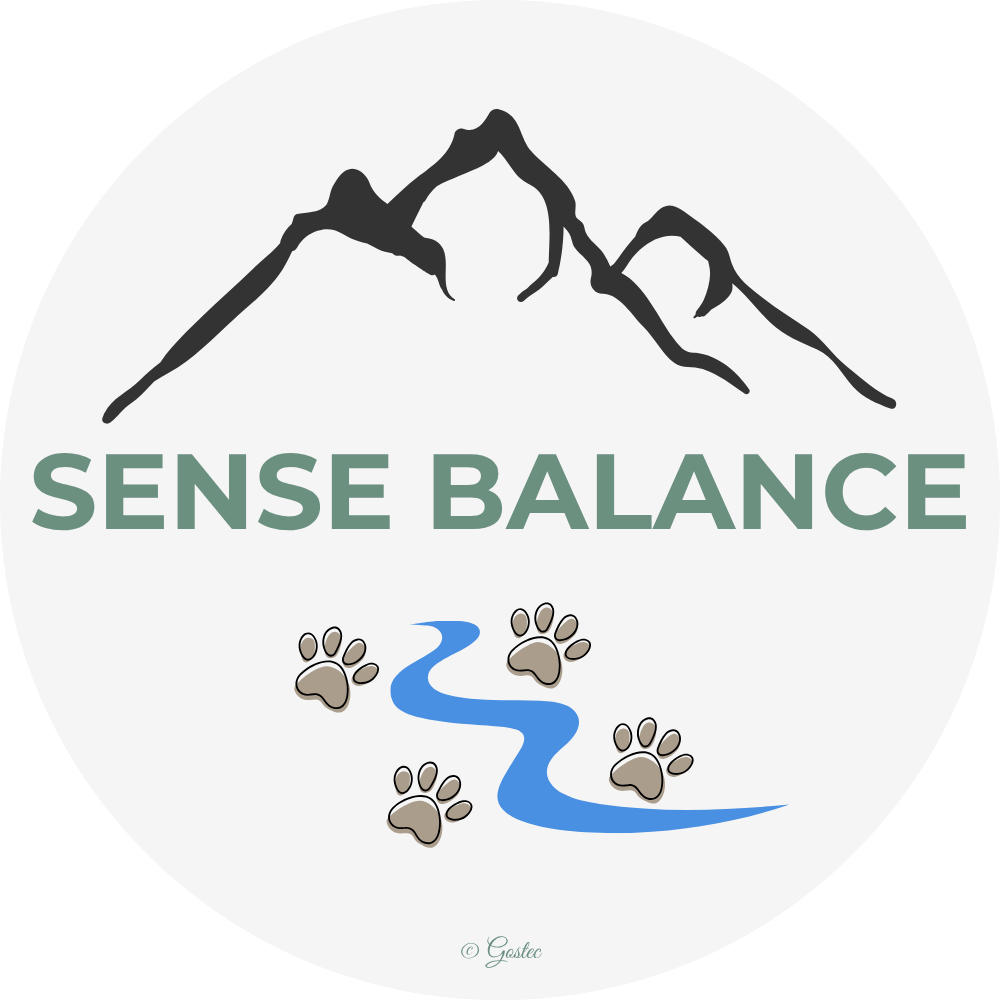 Sense Balance
